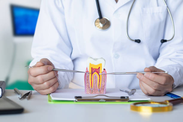 Best Broken or Cracked Tooth Emergency Dentist in Horseshoe Bay, TX